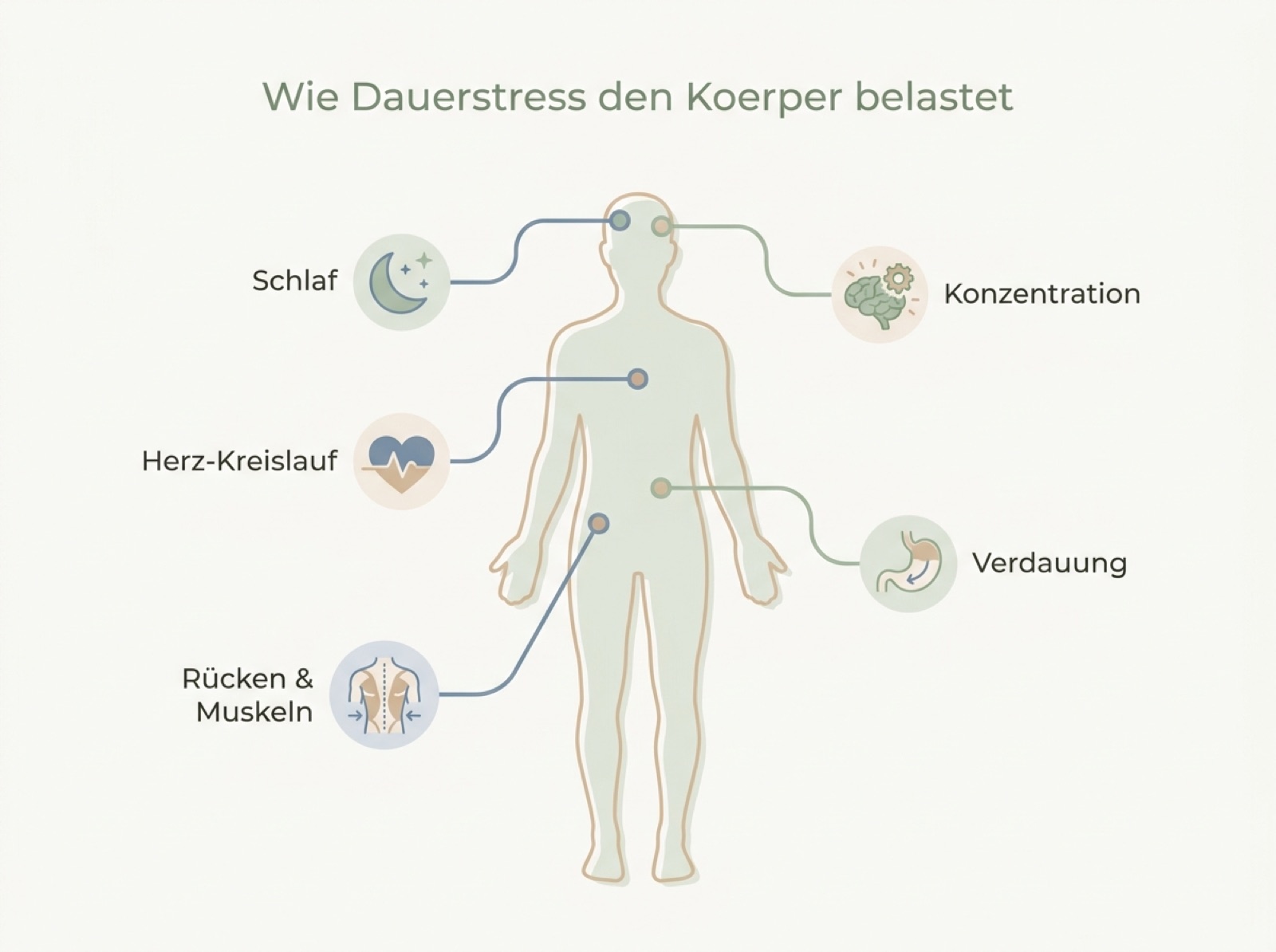 Infografik zeigt, wie Dauerstress durch Geldsorgen Schlaf, Konzentration, Herz-Kreislauf, Verdauung sowie Rücken und Muskeln belastet
