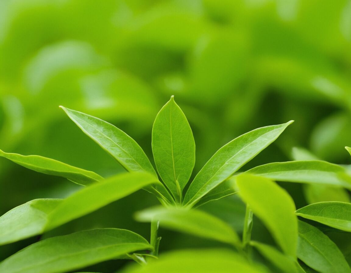 Grüner Tee liefert Epigallocatechingallat (EGCG) gegen Oxidation - Die stärksten Antioxidantien: Gesundheitliche Vorteile und natürliche Quellen