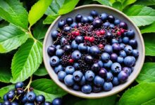 Maqui-Beeren