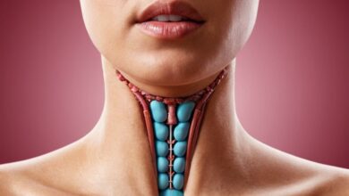 Schilddrüsenfehlfunktion: Ursachen, Symptome und Behandlungsmöglichkeiten im Überblick