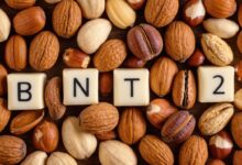 Vitamin B12 in Nüssen: Eine überraschende Quelle für Vegetarier und Veganer