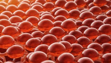 Astaxanthin Wirkung auf die Psyche: Wie das Carotinoid die mentale Gesundheit beeinflussen kann