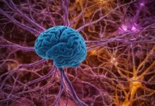 Mangan Wirkung auf die Psyche: Wie Mineralien unsere mentale Gesundheit beeinflussen