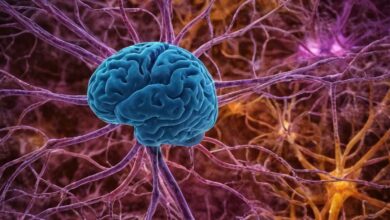 Mangan Wirkung auf die Psyche: Wie Mineralien unsere mentale Gesundheit beeinflussen