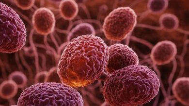 Fibromyalgie: Neue Erkenntnisse zur Ursache gefunden