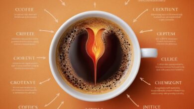 Ist Kaffee gut für den Darm? Die Auswirkungen auf die Verdauung im Überblick