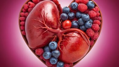 Die Wirkung von OPC: Gesundheitliche Vorteile und wissenschaftliche Erkenntnisse