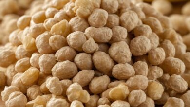 Glucomannan Wirkung: Wie der natürliche Ballaststoff beim Abnehmen und der Gesundheit hilft