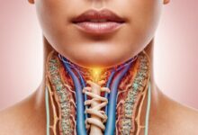 Schilddrüsen-Komplex: Die Bedeutung für unsere Gesundheit und Wohlbefinden