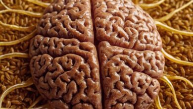 Leinöl Wirkung auf das Nervensystem: Vorteile für die geistige Gesundheit und Konzentration