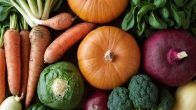 Welches Gemüse ist gut für den Darm? Die besten Sorten für eine gesunde Verdauung