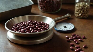 Eisenmangel und seine Folgen für das Gewicht: Wie ein Mangel die Gesundheit beeinflusst