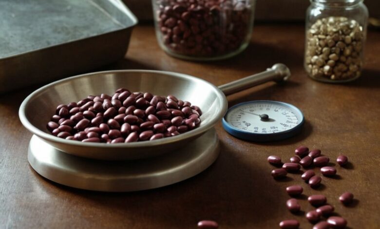 Eisenmangel und seine Folgen für das Gewicht: Wie ein Mangel die Gesundheit beeinflusst